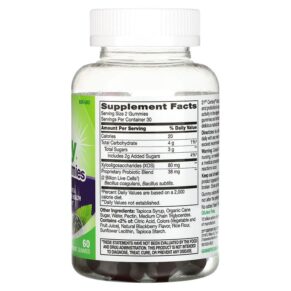 Thực phẩm bổ sung 21st Century Vita Joy Gummies Pre & Probiotic Blackberry 60 Gummies 740985280355