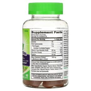 Thực phẩm bổ sung 21st Century VitaJoy Gummies Sambucus Elderberry 60 Vegetarian Gummies 740985280171