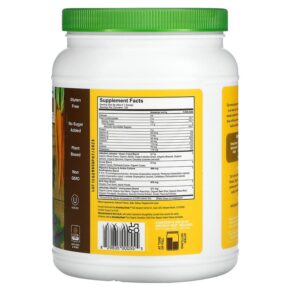Thực phẩm bổ sung Amazing Grass Greens Blend Superfood Chocolate 1.76 lb (800 g) 829835000555