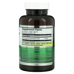 Thực phẩm bổ sung Amazing Nutrition Gaba 750 mg 100 Veggie Capsules 810180020435