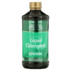 Thực phẩm chức năng Buried Treasure Liquid Chlorophyll Spearmint 16.23 fl oz (480 ml) 016055500198