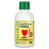 Thực phẩm chức năng ChildLife Essentials Essentials Liquid Calcium with Magnesium Natural Orange 16 fl oz (473 ml) 608274107007