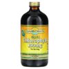Dynamic Health Liquid Chlorophyll Natural Spearmint 100 mg 16 fl oz (473 ml) 5 Thực phẩm chức năng Dynamic Health Liquid Chlorophyll Natural Spearmint 100 mg 16 fl oz (473 ml) 790223101584