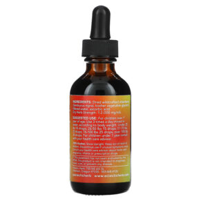 Thực phẩm bổ sung Eclectic Institute Kid's Herbal Glycerite Elderberry 2 fl oz (60 ml) 023363612000