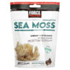 Thực phẩm chức năng Force Factor Fundamentals Sea Moss Salted Caramel 30 Soft Chews 818594018697