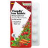 Gaia Herbs Floradix Iron Tablets 80 Tablets 4 Thực phẩm chức năng Gaia Herbs Floradix Iron Tablets 80 Tablets 850026260175