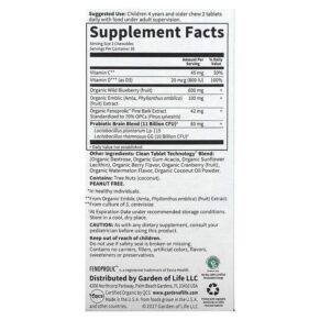 Thực phẩm bổ sung Garden of Life Dr. Formulated Brain Health Attention & Focus for Kids Organic Watermelon Berry 60 Yummy Chewables 658010120715