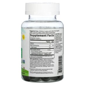 Thực phẩm bổ sung Garden of Life Kids Probiotic Cherry 3 Billion CFU 30 Vegetarian Gummies 658010125154