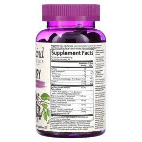 Thực phẩm bổ sung Garden of Life MyKind Organics Elderberry Immune Gummy 120 Vegan Gummy Drops 658010121774