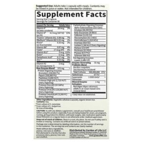Thực phẩm bổ sung Garden of Life RAW Enzymes Men 90 Vegetarian Capsules 658010115612