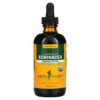 Thực phẩm chức năng Herb Pharm Echinacea Alcohol-Free 4 fl oz (120 ml) 090900000750