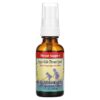 Herbs for Kids Super Kids Throat Spray Peppermint 1 fl oz (30 ml) 4 Thực phẩm chức năng Herbs for Kids Super Kids Throat Spray Peppermint 1 fl oz (30 ml) 701619107110
