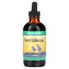 Thực phẩm chức năng Herbs for Kids Sweet Echinacea 4 fl oz (120 ml) 701619101101