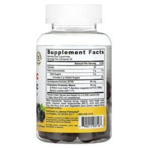 Thực phẩm bổ sung Jarrow Formulas Probiotic + Prebiotic Blackberry 2 Billion 50 Gummies 790011037163