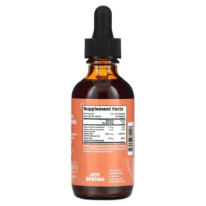 Thực phẩm bổ sung JoySpring Burst B12 2 fl oz (60 ml) 850008889028
