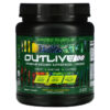 Thực phẩm chức năng Kaged Outlive 100 Premium Organic Superfoods + Greens Apple Cinnamon 18 oz (510 g) 850015107276