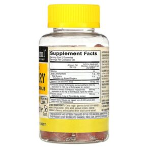 Thực phẩm bổ sung Mason Natural Sambucus Elderberry with Echinacea & Propolis Raspberry 60 Gummies 311845180759