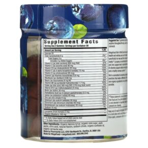 Thực phẩm bổ sung MegaFood Men's Multi Wild Blueberry 60 Gummies 051494104354