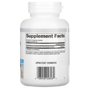 Thực phẩm bổ sung Natural Factors Acetyl-L-Carnitine 500 mg 120 Vegetarian Capsules 068958028064