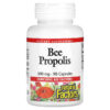 Thực phẩm chức năng Natural Factors Bee Propolis 500 mg 90 Capsules 068958031613