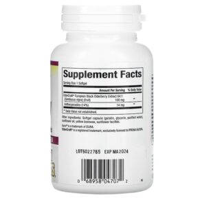 Thực phẩm bổ sung Natural Factors Black Elderberry 100 mg 120 Fast-Acting Softgels 068958047072