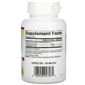 Thực phẩm bổ sung Natural Factors Black Elderberry 100 mg 60 Fast-Acting Softgels 068958047065