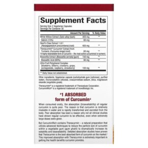 Thực phẩm bổ sung Natural Factors CurcuminRich Joint Curcumizer 60 Vegetarian Capsules 068958045542