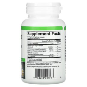 Thực phẩm bổ sung Natural Factors Gastro-Assist with Mastic Gum Saccharomyces Boulardii & Zinc L-Carnosine 60 Vegetarian Capsules 068958017563