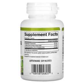 Thực phẩm bổ sung Natural Factors Ginkgo Biloba Phytosome 60 mg 60 Capsules 068958048055