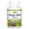 Thực phẩm chức năng Natural Factors Ginkgo Biloba Phytosome 60 mg 60 Capsules 068958048055