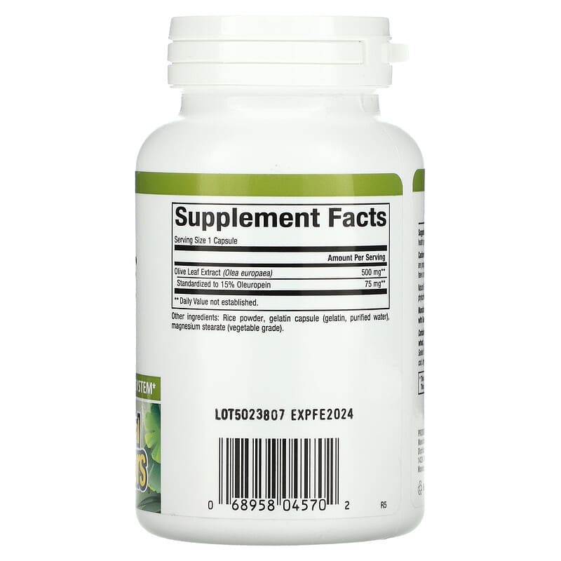 Natural Factors HerbalFactors Olive Leaf 500 mg 90 Capsules 2 Thực phẩm bổ sung Natural Factors HerbalFactors Olive Leaf 500 mg 90 Capsules 068958045702