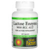 Natural Factors Lactase Enzyme 9.000 FCC ALU 60 Capsules 4 Thực phẩm chức năng Natural Factors Lactase Enzyme 9.000 FCC ALU 60 Capsules 068958017402