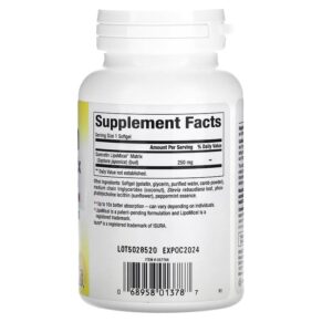 Thực phẩm bổ sung Natural Factors Quercetin LipoMicel Matrix 60 Liquid Softgels 068958013787