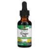 Thực phẩm chức năng Nature's Answer Ginger Root Fluid Extract Alcohol-Free 1.000 mg 1 fl oz (30 ml) 083000006166