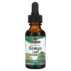 Thực phẩm chức năng Nature's Answer Ginkgo Leaf Fluid Extract Alcohol-Free 2.000 mg 1 fl oz (30 ml) 083000006203