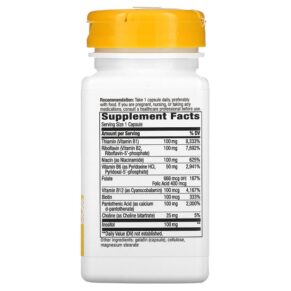 Thực phẩm bổ sung Nature's Way B-100 Complex with B2 Coenzyme 60 Capsules 033674405208