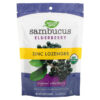 Thực phẩm chức năng Nature's Way Sambucus Elderberry Zinc Lozenges with Vitamin C Original Elderberry 24 Lozenges 033674102206
