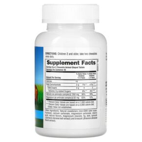 Thực phẩm bổ sung NaturesPlus Animal Parade Calcium Children's Chewable Supplement Vanilla Sundae 90 Animal-Shaped Tablets 097467299962