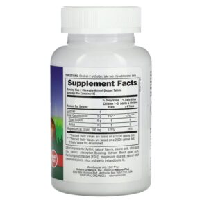 Thực phẩm bổ sung NaturesPlus Animal Parade MagKidz Children's Chewable Magnesium Cherry 90 Animal-Shaped Tablets 097467299429