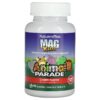 Thực phẩm chức năng NaturesPlus Animal Parade MagKidz Children's Chewable Magnesium Cherry 90 Animal-Shaped Tablets 097467299429
