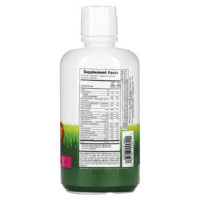 Thực phẩm bổ sung NaturesPlus Animal Parade Multivitamin Liquid Tropical Berry 30 fl oz (887.1 ml) 097467299511