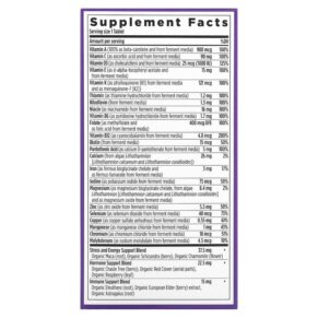 Thực phẩm bổ sung New Chapter Every Woman's One Daily Multivitamin 96 Vegetarian Tablets 727783003348