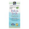 Nordic Naturals Baby's DHA Vegetarian 1 fl oz (30 ml) 4 Thực phẩm chức năng Nordic Naturals Baby's DHA Vegetarian 1 fl oz (30 ml) 768990016707