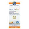 Thực phẩm chức năng Nordic Naturals DHA Infant with Vitamin D3 2 fl oz (60 ml) 768990537882