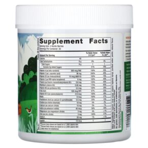 Thực phẩm bổ sung Nordic Naturals Nordic Berries Multivitamin Gummies Ages 3+ Original 120 Gummy Berries 768990301209