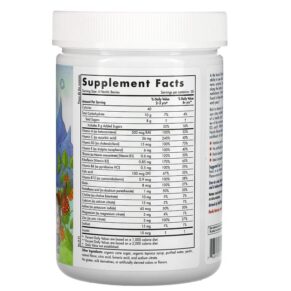Thực phẩm bổ sung Nordic Naturals Nordic Berries Multivitamin Gummies Original Flavor 200 Gummy Berries 768990301247