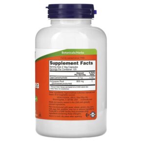 Thực phẩm bổ sung NOW Foods Echinacea 400 mg 250 Veg Capsules 733739046628