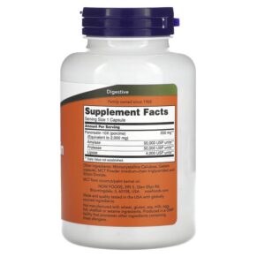 Thực phẩm bổ sung NOW Foods Pancreatin 2000 250 Capsules 733739029461