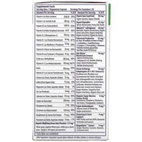 Thực phẩm bổ sung Paradise Herbs Earth's Blend One Daily Superfood Multi-Vitamin No Iron 30 Vegetarian Capsules 601944778262