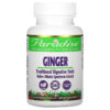 Thực phẩm chức năng Paradise Herbs Ginger 60 Vegetarian Capsules 601944777241